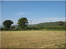 ST4158 : Fields near Sandford Batch by David Purchase
