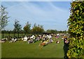 Bicester Cemetery