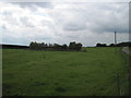 Pond  at  Pallathorpe  Farm