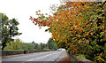 The Hillsborough Road, Lisburn (3)