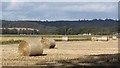 Round bales, Drip Moss