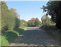 Chute Causeway ends at Hungerford Lane