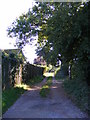Footpath to Mill Road