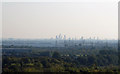 View from Monkhams Hill