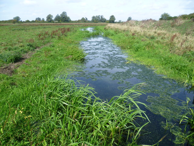 Mare Fen © Marathon :: Geograph Britain and Ireland