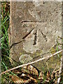 NO2549 : Bench Mark, Alyth by Maigheach-gheal
