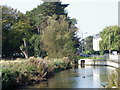 River Avon, Salisbury