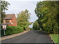 Westwood Side - viewed from Woodcross