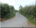 Lane to Cefn Cantref Farm south of Brecon