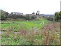 Rough ground, Magheralone