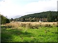 Heathland east of Inchree