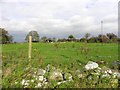 Turmennan Townland