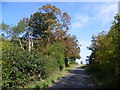 The road to Exton approaching The Grange Farm