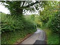 Country Lane near Blackrock