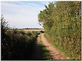 Saltry Lane, near Dunster