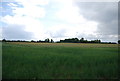 Farmland south of Ockendon Rd