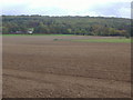 The edge of the Chiltern Hills near Wendover