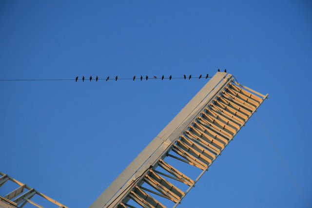 Watch the birdies - Stansted Mountfichet windmill