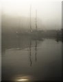 SX9163 : Nefertiti in the mist by Derek Harper