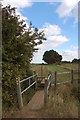 Footbridge and footpath junction