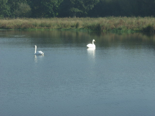 Aston wetlands