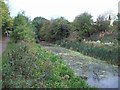 Disused Canal near Elsecar