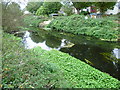 River Wandle near Earlsfield