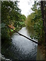 River Wandle from Trewint Street footbridge