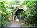 Entrance to Crescent Wood Tunnel, Sydenham Hill Woods