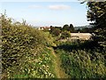 Track south of Prudhoe School