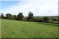 Field and Trees, near Burwash