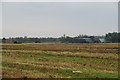 Neatly stacked bales at Ryefield Farm