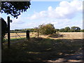 Footpath to Jacksons Road