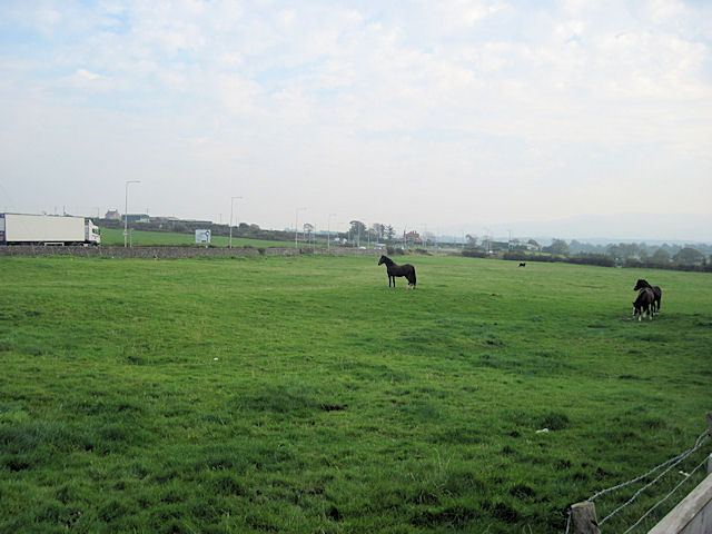 Fields  towards A5