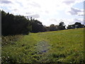 Footpath to Kirton Hall Lakes