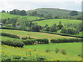 Fields south of Rudry