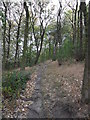 Footpath, Benholmley Hill