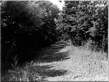 TL1980 : Fixed point 35 (1972), Monk's Wood NNR by D.O. Elias