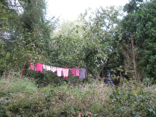 A pink wash drying 