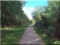 The Trans Pennine Trail near Wombwell