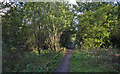 The low path, the route of a disused railway track