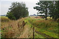 Track to Holmleigh Farm