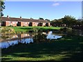 Duck Pond south-east of Ceddesfield Hall, Sedgefield