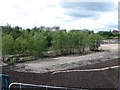 Brownfield site, Govanhill