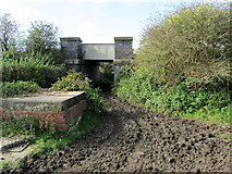 SD3440 : Railway Bridge on the Thornton/Poulton Line by Chris Heaton