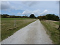 Bridleway north to Cissbury Ring