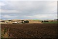 Fields by Lochend