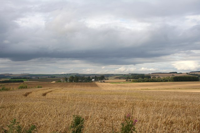 Barra Barley