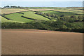 Looking over Broomhill Copse 