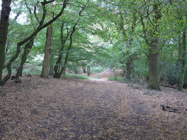 Downhill path in Galleyhill Green